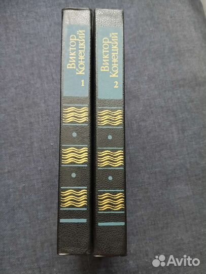 Конецкий.Ананьев. Ахматова. Гашек.и др