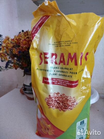 Крестовник и грунт