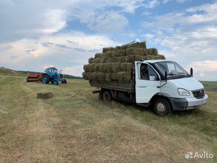 Сено в тюках плотное разнотравье