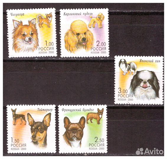 Домашние животные на почтовых марках