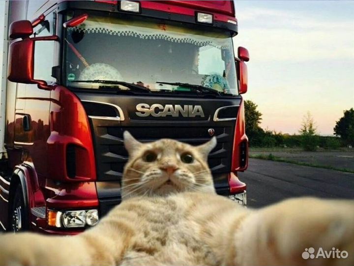 Водитель категории «Е» на вахту по России