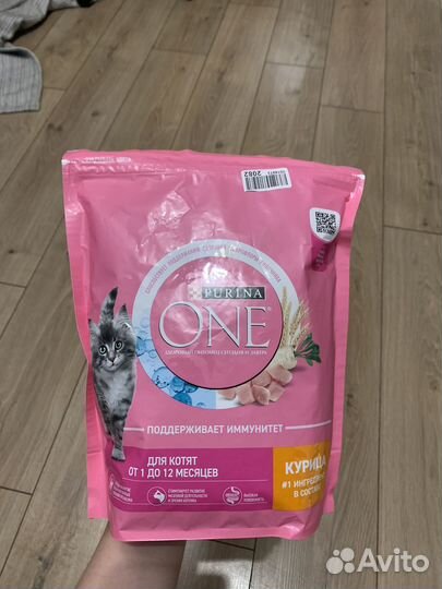 Корм сухой для котят