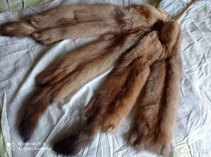 Шкурки соболя