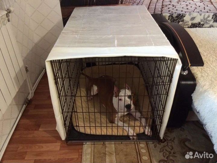 Вольер для собак