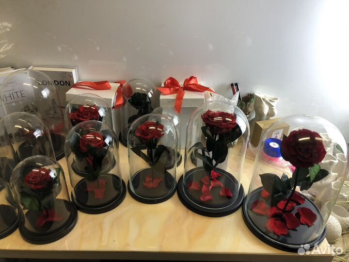 Розы в колбе оптом и в розницу