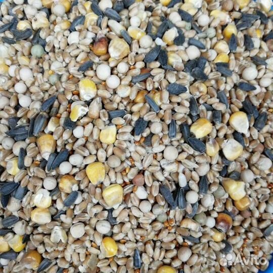 Комбикорм для птицы