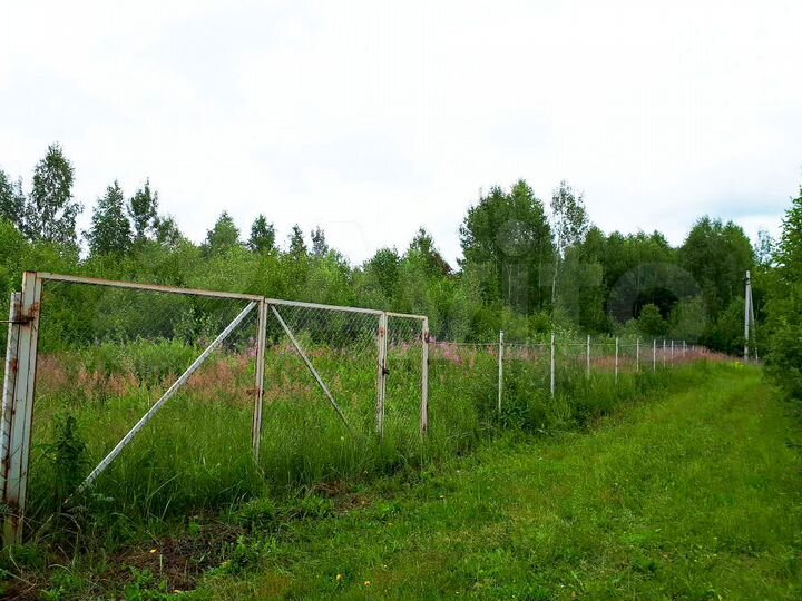 Участок 12 сот. (СНТ, ДНП)