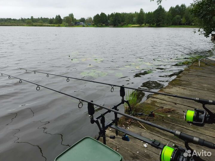 Снасти для рыбалки на карпа