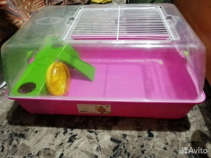 Клетка для грызунов очень большая