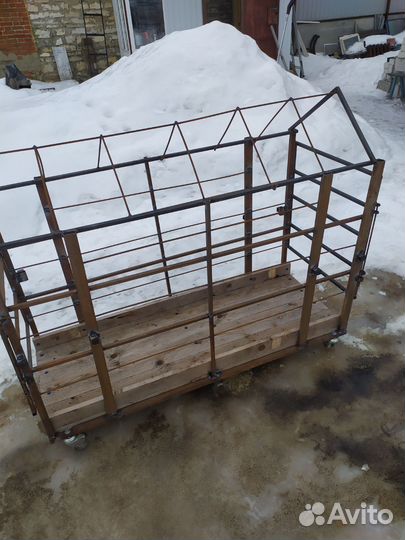 Клетка, аренда, продажа