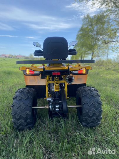 Квадроцикл Wild track X Pro 2023