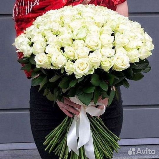 101 Роза Цветы Букеты 51 25 Роз Доставка