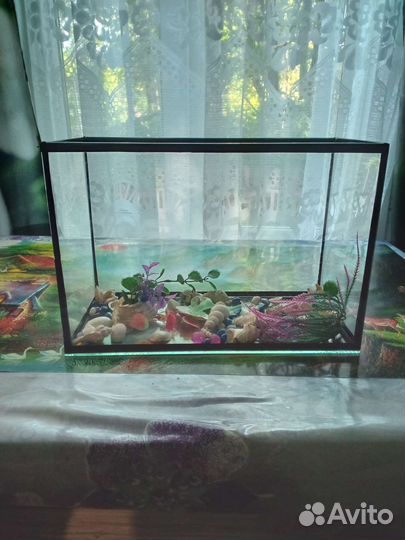 Аквариум