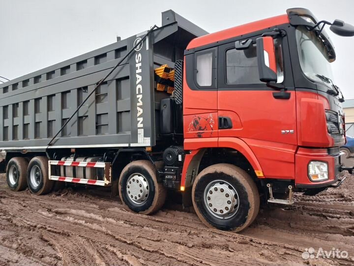 Shacman (Shaanxi) SX33186T366, 2021