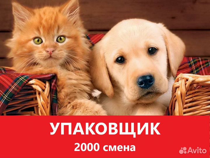 Упаковщик с проживанием, работа сидя для РФ