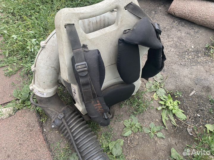 Ветродув