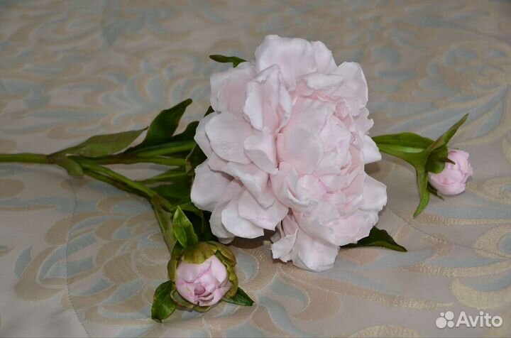 Пионы букет