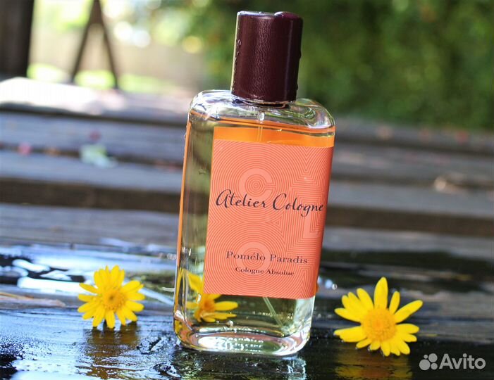 Poivre pomelo отзывы. Pomelo paradise atelier. Atelier cologne love osmanthus 100 мл. Atelier cologne sud magnolia. Atelier cologne pomelo paradise.