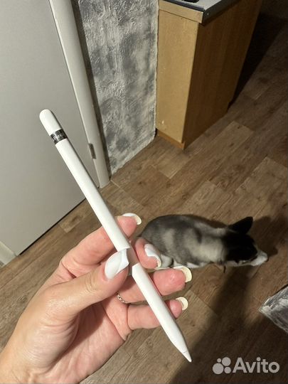 Apple pencil
