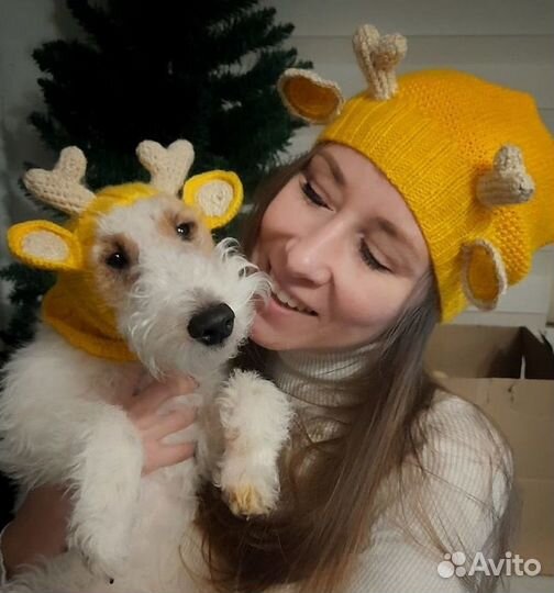 Шапка олень