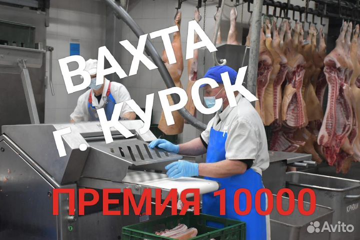 Подсобные рабочие/Вахта с проживанием Курск