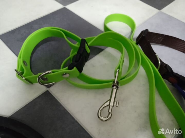 Вещи для собак