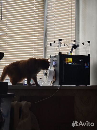 Flying bear ghost 6 3d принтер