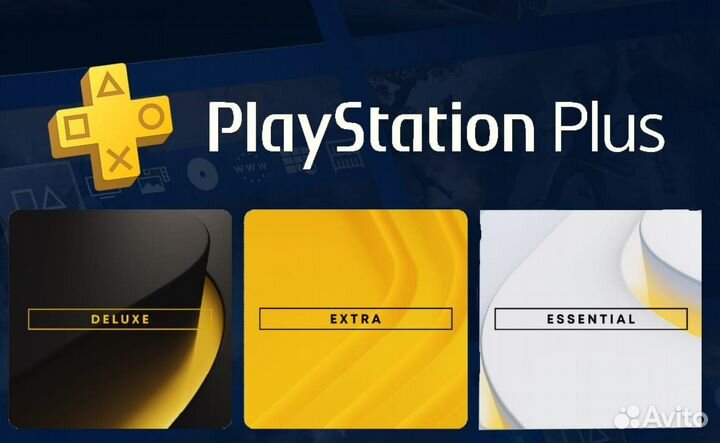 Подписка ps plus test
