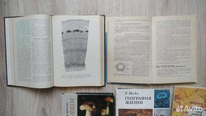 Энтомология, Зоология, ботаника, грибы