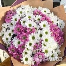 Букет хризантемы Доставка цветов