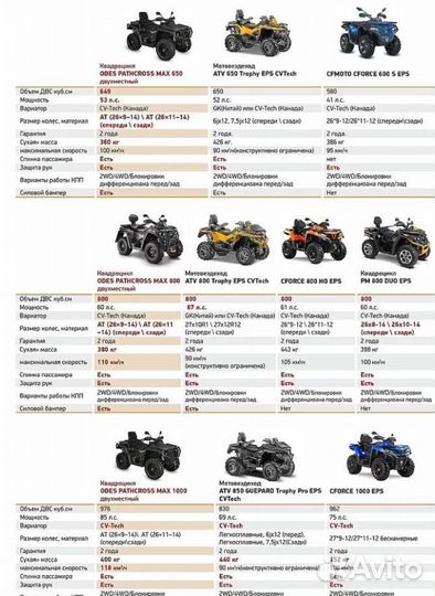Aodes pathcross MAX 1000 XE sport двухместный