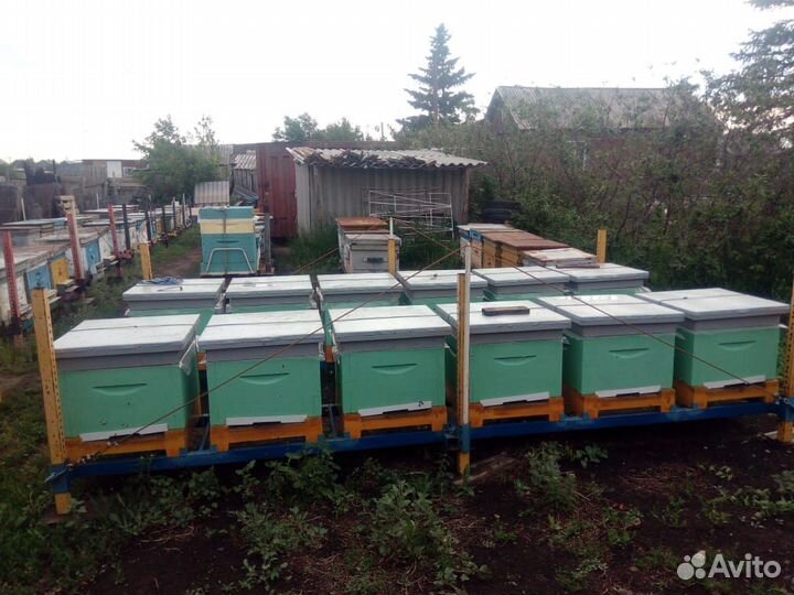 Ульи ппу Аргон на 6-8-10-12 рамок и мининуклеусы
