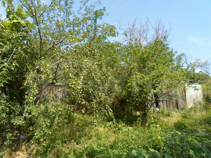 Дом 32 м² на участке 6 сот.