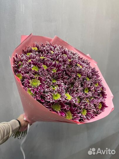 Кустовая Хризантема Букеты