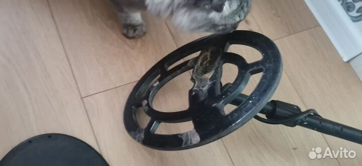 Металлоискатель garrett ace 300i