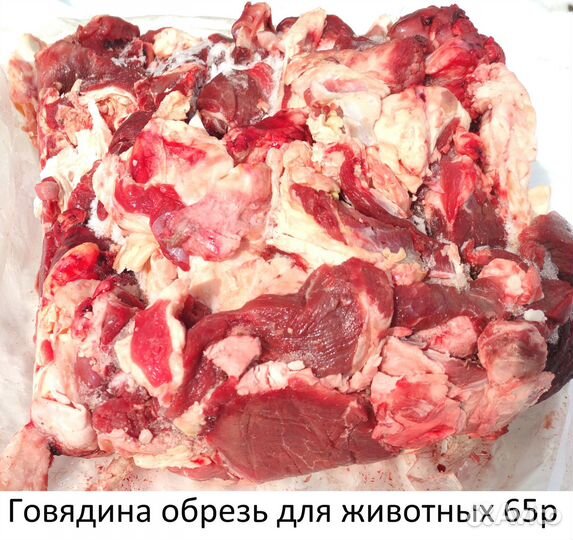 Мясо. Говядина. Обрезь для собак. Доставка