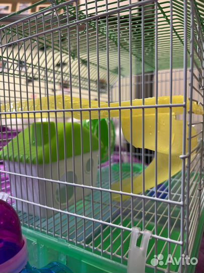 Клетка для грызунов