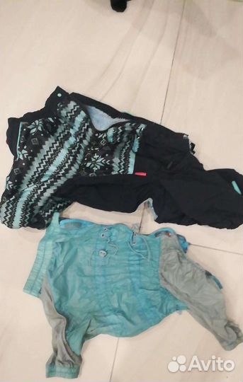 Комбинезон на мопса