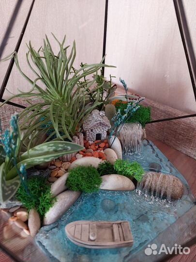 Флорариум суккуленты