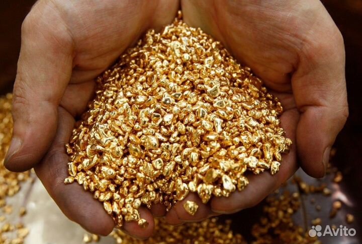 Месторождение золота 384 кг