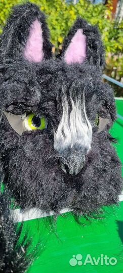 Фурсьют волка