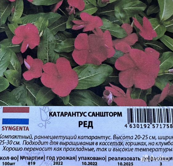 Семена катарантуса