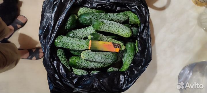 Огурцы свежие домашние