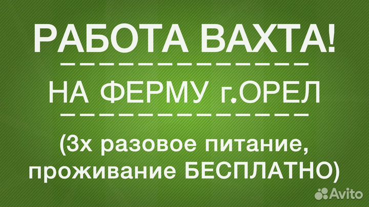 Вахта с проживанием и 2х разовым питанием. Орел