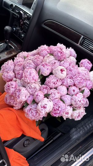 Букет из пионов с бесплатной доставкой