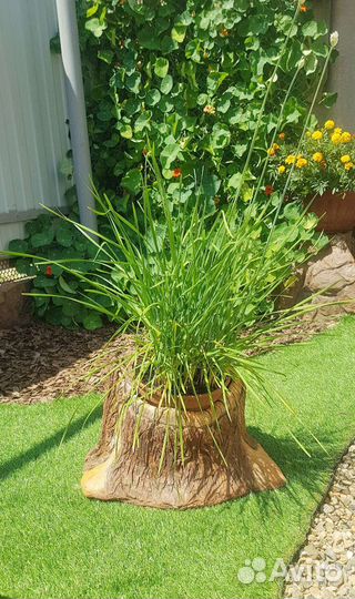 Кашпо из бетона