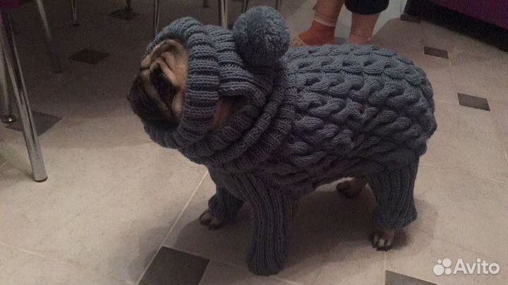 Одежда для собак