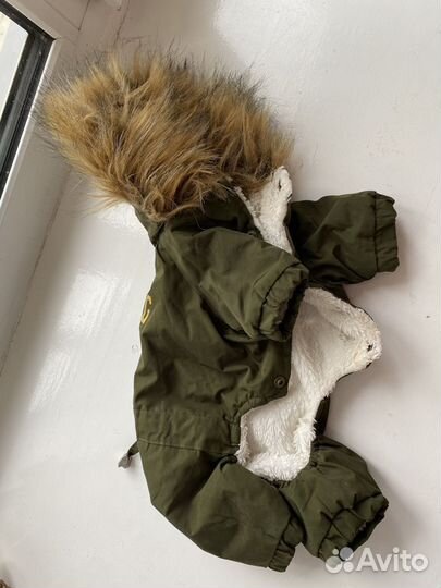 Одежда для собак