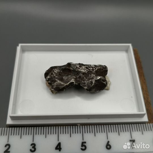 Метеорит Сихоте-Алинь в боксе