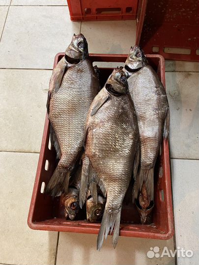 Рыба вяленная